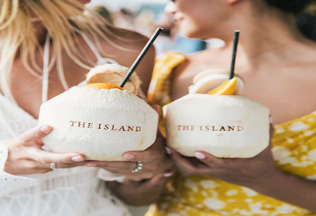 Island Coconut 